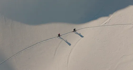 The (Un)perfect Line